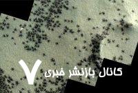 عنکبوتهای عظیمالجثه مریخ به زمین آمدند عنکبوتهای عظیمالجثه مریخ به زمین آمدند
