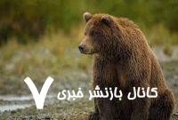 ببینید/ ورود خرس به منازل ییلاقی مردم روستای «ورزنه» بابل