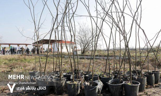 اجرای پویش کویر سبز در ۵۰۰ هکتار اراضی طبیعی استان سمنان – خبرگزاری مهر | اخبار ایران و جهان