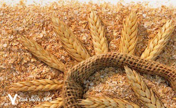 قیمت سبوس گندم آزاد شد – خبرگزاری مهر | اخبار ایران و جهان
