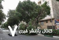 سرعت طوفان تهران به ۱۰۸ کیلومتر بر ساعت رسید – خبرگزاری مهر | اخبار ایران و جهان سرعت طوفان تهران به ۱۰۸ کیلومتر بر ساعت رسید – خبرگزاری مهر | اخبار ایران و جهان