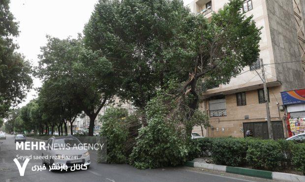 سرعت طوفان تهران به ۱۰۸ کیلومتر بر ساعت رسید – خبرگزاری مهر | اخبار ایران و جهان