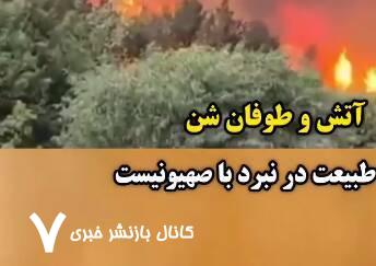 طبیعت در نبرد با صهیونیست+ فیلم طبیعت در نبرد با صهیونیست+ فیلم