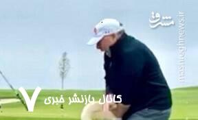 سوژه شدن‌ ویتکاف توسط ترامپ پس از حمله قو!