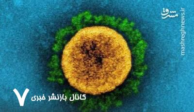 چرا هنوز هر هفته بیش از ۳۰۰ نفر در آمریکا بر اثر کرونا می‌میرند؟