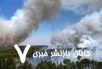 رکورد بی‌سابقه نابودی جنگل‌ها در سال ۲۰۲۴ و هشدار جهانی درباره آتش‌سوزی‌های فاجعه‌بار
