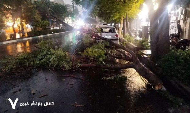 هواشناسی: احتمال توفان تندری در تهران؛ هوا از چهارشنبه گرم میشود هواشناسی: احتمال توفان تندری در تهران؛ هوا از چهارشنبه گرم میشود