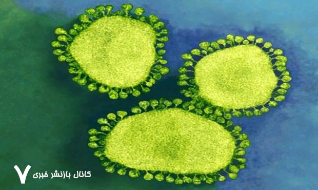 مقام وزارت بهداشت: نخستین مورد ابتلا به بیماری تنفسی «مرس» در عربستان گزارش شده است/ میزان کشندگی بیماری حدود ۳۶ درصد برآورد شده/ زائران خانه خدا اصول پیشگیری را رعایت کنند مقام وزارت بهداشت: نخستین مورد ابتلا به بیماری تنفسی «مرس» در عربستان گزارش شده است/ میزان کشندگی بیماری حدود ۳۶ درصد برآورد شده/ زائران خانه خدا اصول پیشگیری را رعایت کنند
