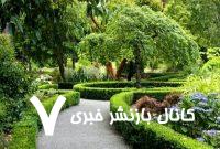فضای سبز شهری نجات دهنده جان انسان‌های بیشتر – خبرگزاری مهر | اخبار ایران و جهان