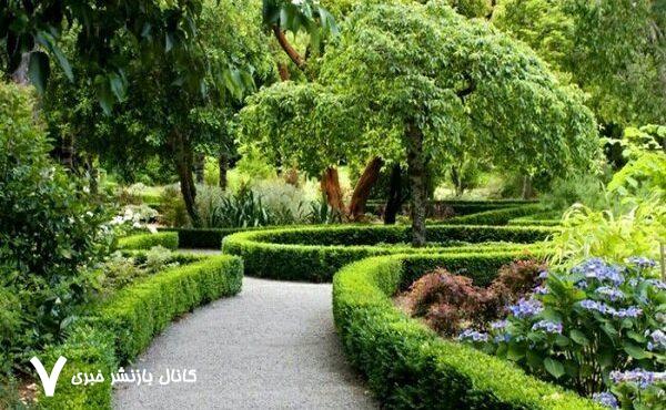 فضای سبز شهری نجات دهنده جان انسان‌های بیشتر – خبرگزاری مهر | اخبار ایران و جهان