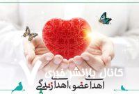 اهدای زندگی در هزار و ششصد و چهل و چهارمین عمل پیوند اعضا در مشهد