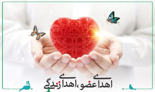 اهدای زندگی در هزار و ششصد و چهل و چهارمین عمل پیوند اعضا در مشهد