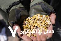مخدری که داعشیها پیش از بریدن سر قربانی مصرف میکردند/ خطر بیخ گوش ایران؛ تا دیر نشده «کپتاگون» را بشناسید مخدری که داعشیها پیش از بریدن سر قربانی مصرف میکردند/ خطر بیخ گوش ایران؛ تا دیر نشده «کپتاگون» را بشناسید