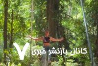 این زن با استفاده از موهایش ۲۵ دقیقه از درخت آویزان ماند