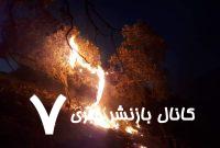۳۰ عامل آتش سوزی در جنگل‌های فارس شناسایی و ۵ نفر دستگیر شده اند