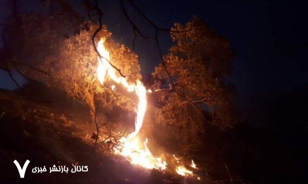 ۳۰ عامل آتش سوزی در جنگل‌های فارس شناسایی و ۵ نفر دستگیر شده اند