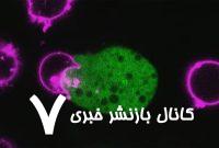 انگل حیله‌گر! – خبرآنلاین