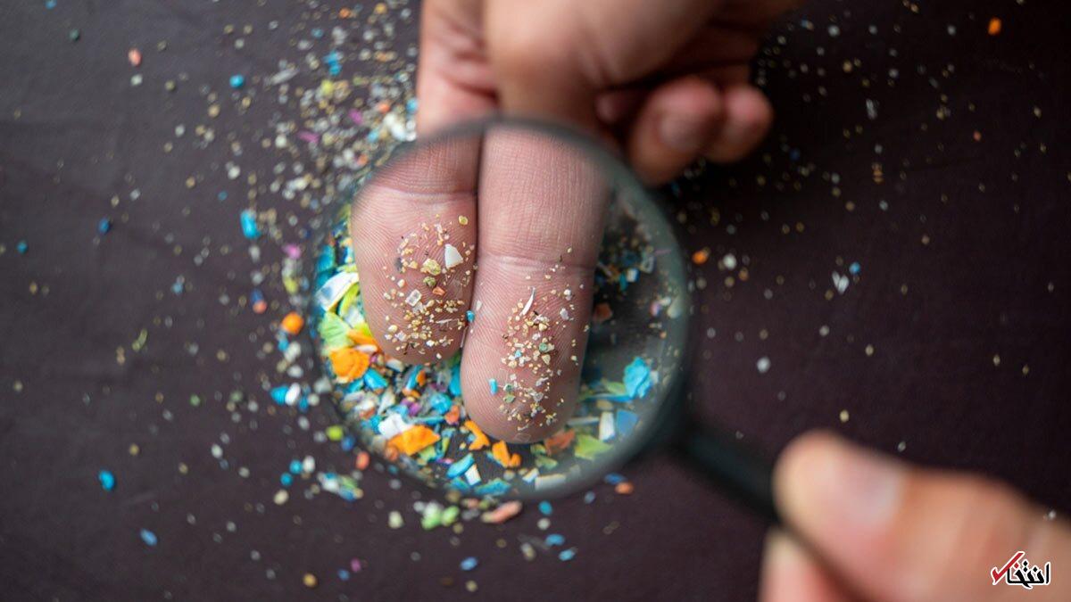 آیا می‌دانستید بدن انسان حاوی میکروپلاستیک‌های مضر است؟ کارشناس راه‌های