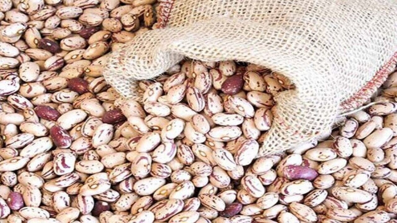 اعلام نرخ جدید قیمت لوبیا چیتیاین کالا را گران‌تر از