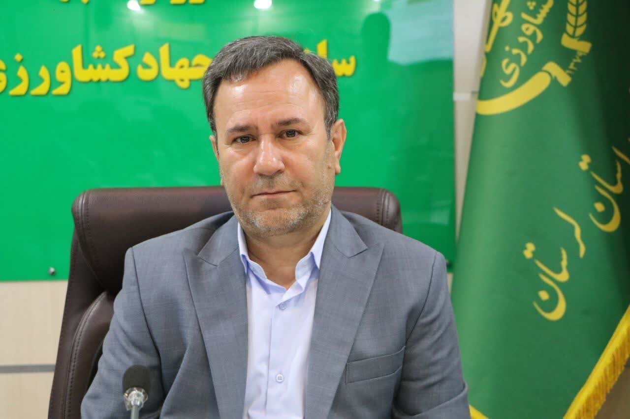 تولید بیش از چهار هزار تن عسل در لرستان