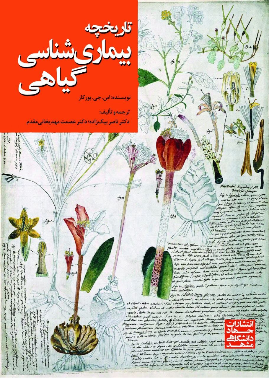 شکست آلمان در جنگ جهانی دوم به علت همه‌گیری یک بیماری بود!
