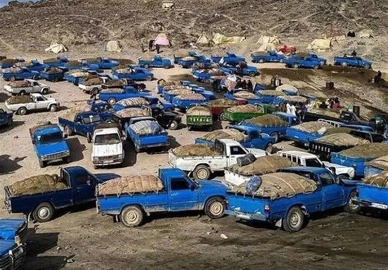قاچاق وحشتناک سوخت از کشور؛ ۱۰ هزار نیسان هم نمی‌تواند