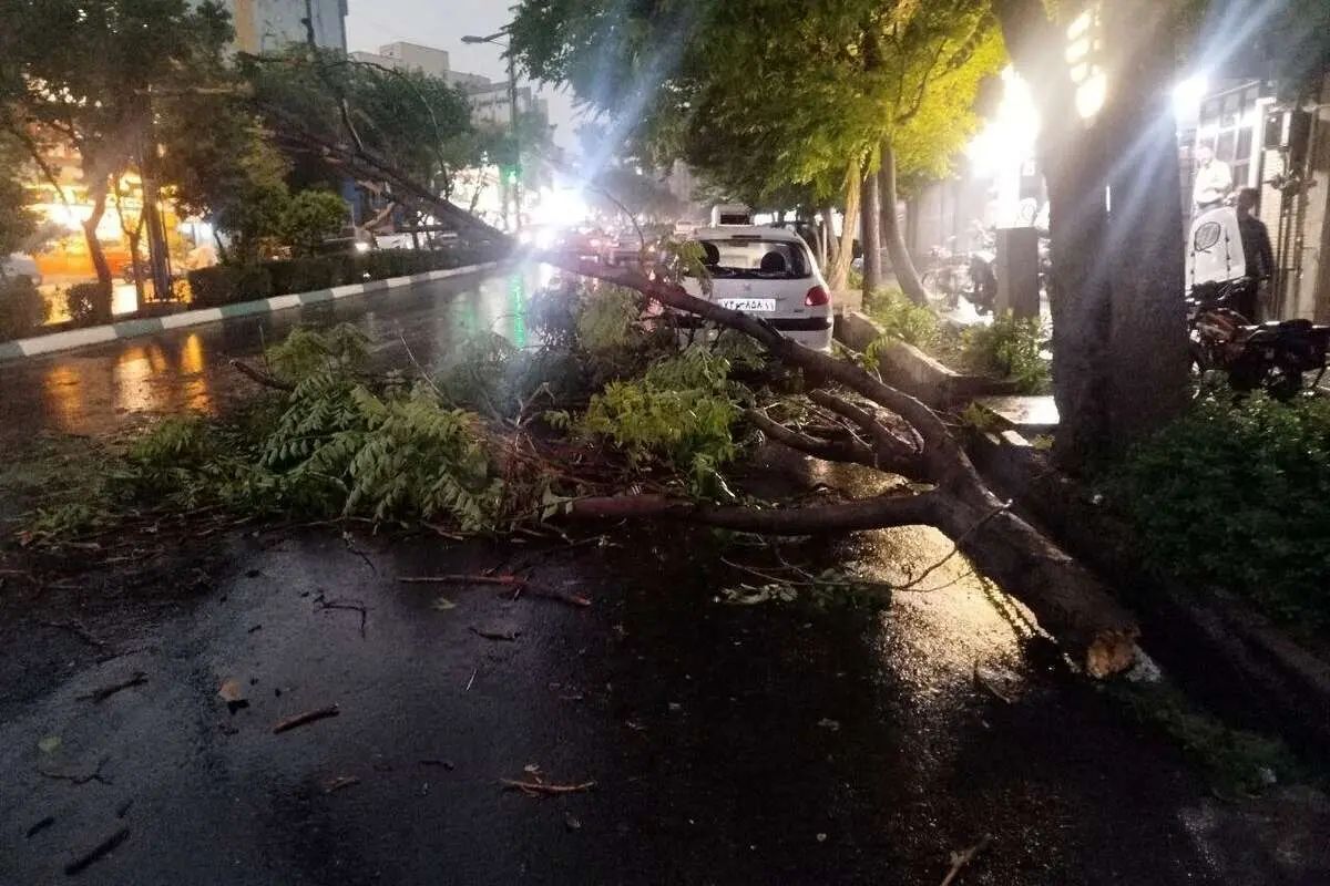 هواشناسی: احتمال توفان تندری در تهران؛ هوا از چهارشنبه گرم میشود 2 هواشناسی احتمال توفان تندری در تهران؛ هوا از چهارشنبه گرم