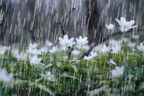 کاهش۳۰ درصدی بارندگی در آذربایجان‌غربی