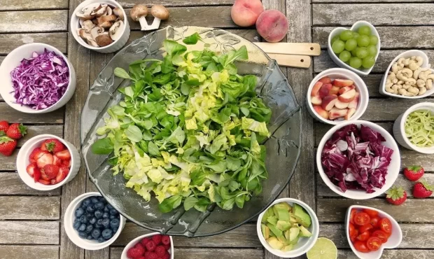 رژیم گیاهی: تغییری بنیادین برای انسان، حیوانات و زمین رژیم گیاهی: تغییری بنیادین برای انسان، حیوانات و زمین