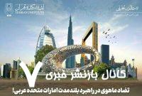 تضاد ماهوی در راهبرد بلندمدت امارات متحده عربی