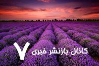 توضیح شوکه کننده علم : رنگ بنفش واقعاً وجود ندارد!