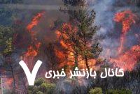 آتش‌سوزی‌های جنگلی گسترده در «ازمیر» ترکیه+ عکس و فیلم