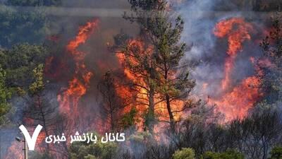 آتشسوزیهای جنگلی گسترده در «ازمیر» ترکیه+ عکس و فیلم آتشسوزیهای جنگلی گسترده در «ازمیر» ترکیه+ عکس و فیلم