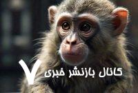یک میمون با تراشه مغزی نورالینک چیزی را دید که وجود خارجی نداشت!