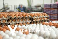 قیمت جدید تخم‌مرغ اعلام شد/ جزییات