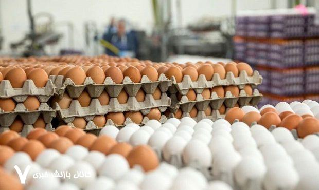 قیمت جدید تخممرغ اعلام شد/ جزییات قیمت جدید تخممرغ اعلام شد/ جزییات