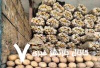 سیبزمینی و گوجهفرنگی ارزان شد/ قیمت جدید را ببینید سیبزمینی و گوجهفرنگی ارزان شد/ قیمت جدید را ببینید