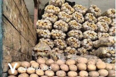 سیب‌زمینی و گوجه‌فرنگی ارزان شد/ قیمت جدید را ببینید