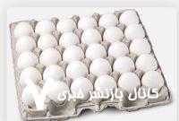 قیمت تخم مرغ درب مرغداری چند؟
