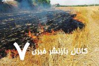 برخورد قانونی با آتش زدن پس‌چرای مزارع در هلیلان