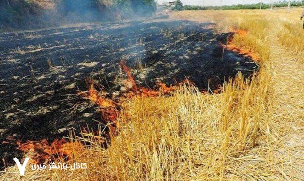 برخورد قانونی با آتش زدن پس‌چرای مزارع در هلیلان