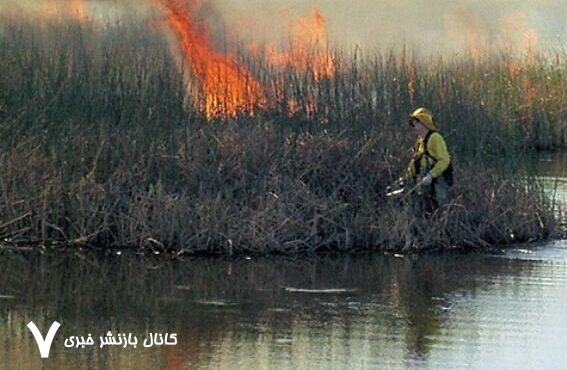 آتش‌سوزی تالاب بین‌المللی شادگان با بسیج امکانات و اقدامات کارشناسی تحت کنترل درآمد