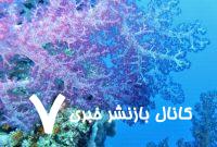 چرا روی زمین همه چیز رنگارنگ است؟ چرا روی زمین همه چیز رنگارنگ است؟