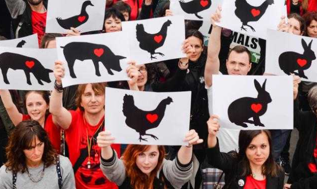 Behind Closed Barn Doors: Humane Foundation Urges Action Against the Hidden Cruelty of Factory Farms Behind Closed Barn Doors: Humane Foundation Urges Action Against the Hidden Cruelty of Factory Farms