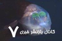 این ماهی سرش شفاف است و چشم‌هایش داخل سر قرار دارد؛ دلیلش چیست؟