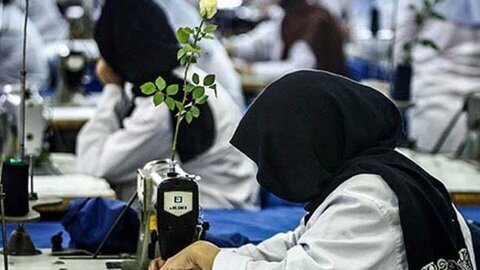 شورای عالی حمایت از زنان سرپرست خانوار البرز تشکیل شد