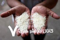 برنج پاکستانی را به مازندران می برند و به اسم برنج ایرانی می فروشند