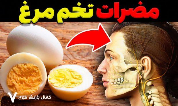 🥚 تخممرغ؛ یک غذای کامل یا منبع خاموش بیماریها؟ بررسی جامع مضرات مصرف تخممرغ برای انسان 🥚 تخممرغ؛ یک غذای کامل یا منبع خاموش بیماریها؟ بررسی جامع مضرات مصرف تخممرغ برای انسان