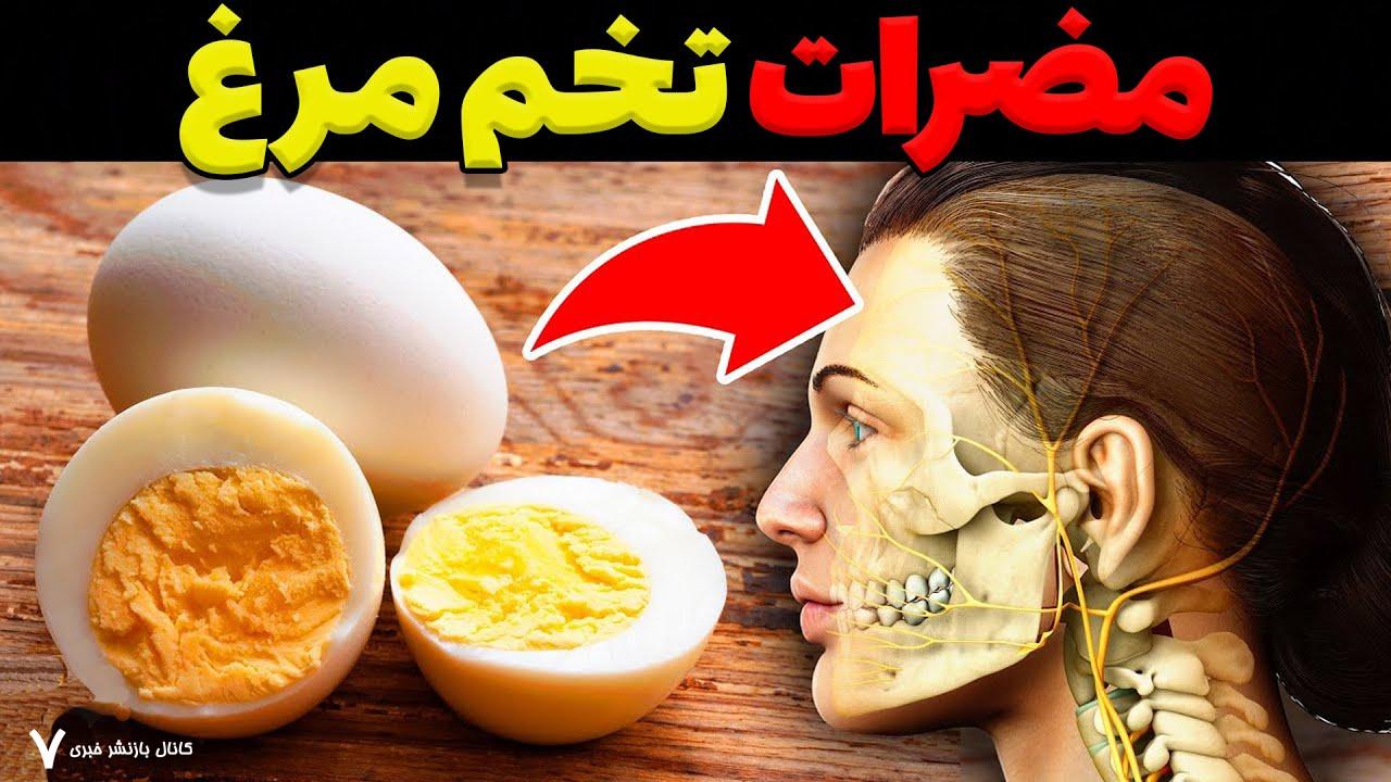 مضرات و خطرات مصرف تخم مرغ