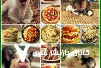 گوشت و لبنیات و تخم‌مرغ: گذرگاهی به سوی بیماری؟